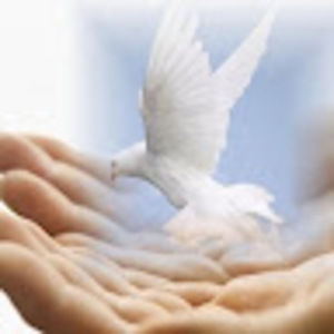 Meet your Posher, Mandi